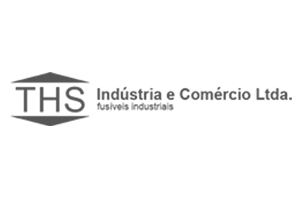 logo-ths